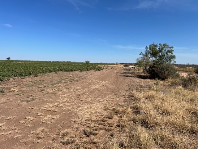 398 Bumpergate Road Abilene TX 79603