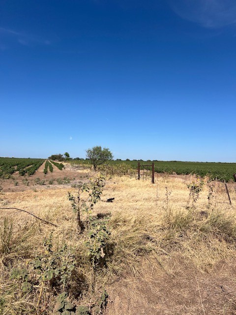 398 Bumpergate Road Abilene TX 79603