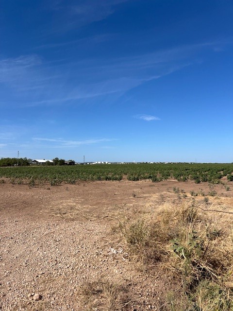 398 Bumpergate Road Abilene TX 79603
