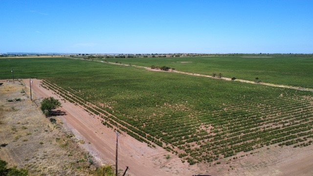 398 Bumpergate Road Abilene TX 79603