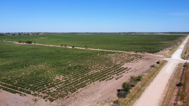 398 Bumpergate Road Abilene TX 79603