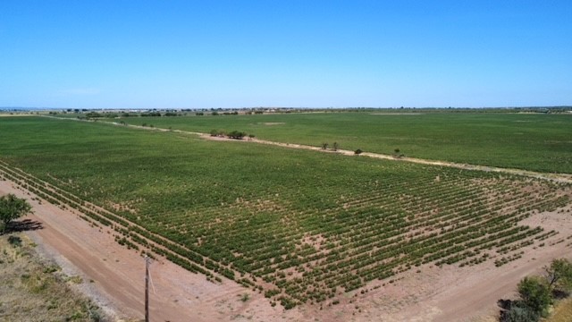 398 Bumpergate Road Abilene TX 79603