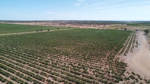 398 Bumpergate Road Abilene TX 79603