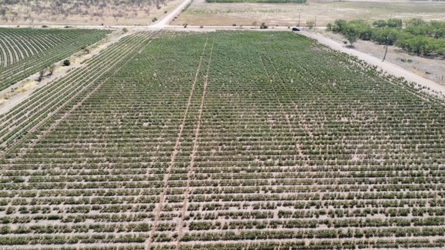 398 Bumpergate Road Abilene TX 79603