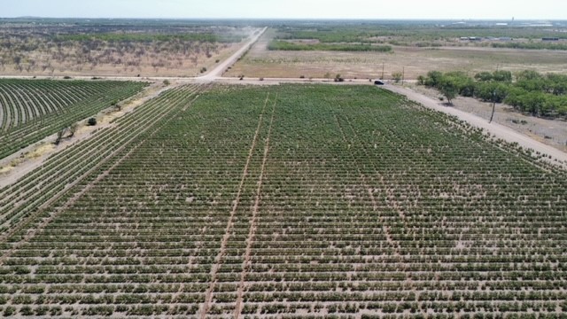 398 Bumpergate Road Abilene TX 79603