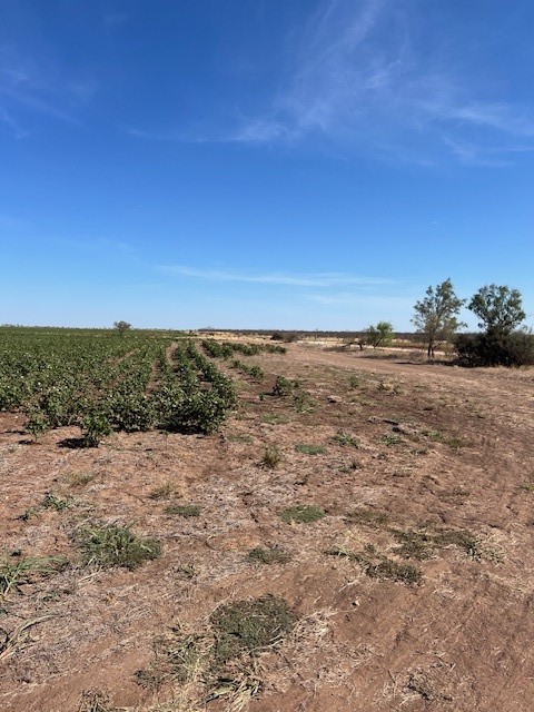 398 Bumpergate Road Abilene TX 79603