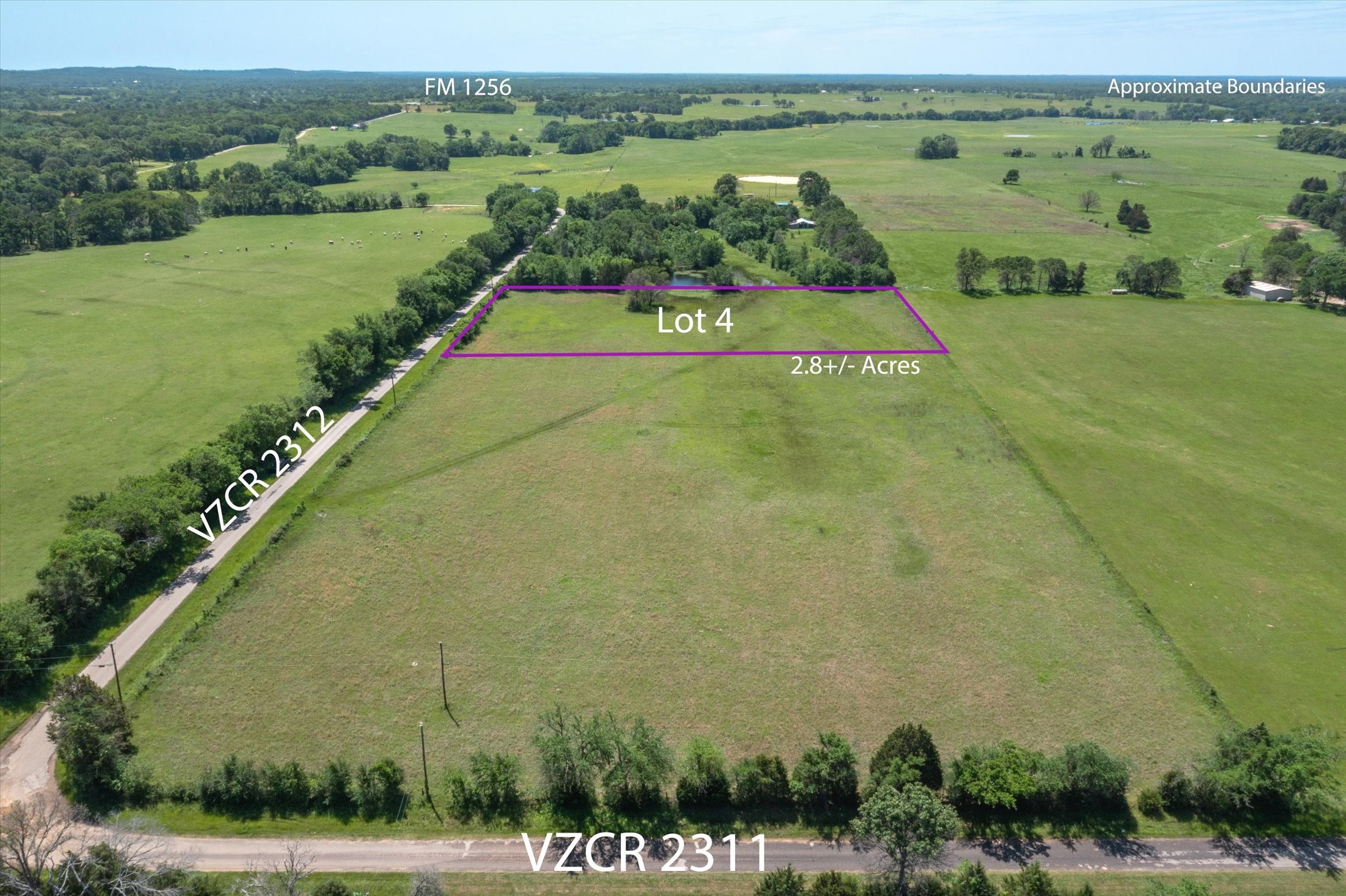 000 Lot 4 Vz County Road 2312 Mabank TX 75147