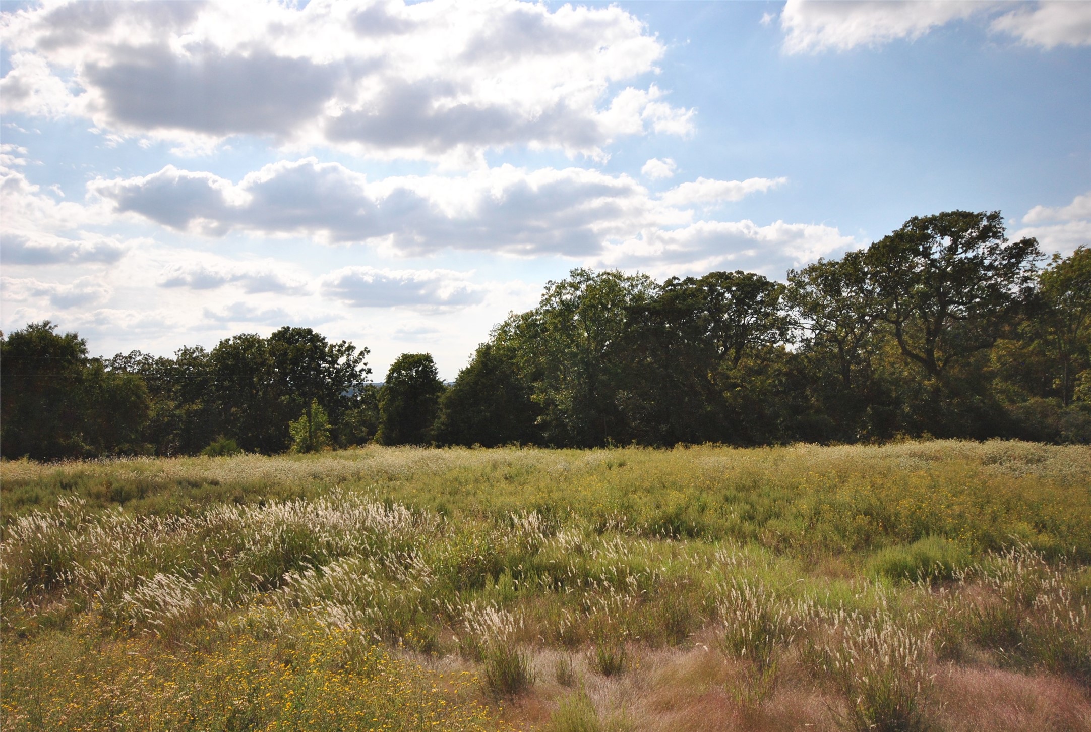 Lot 22 Lcr 910 Drive Jewett TX 75846