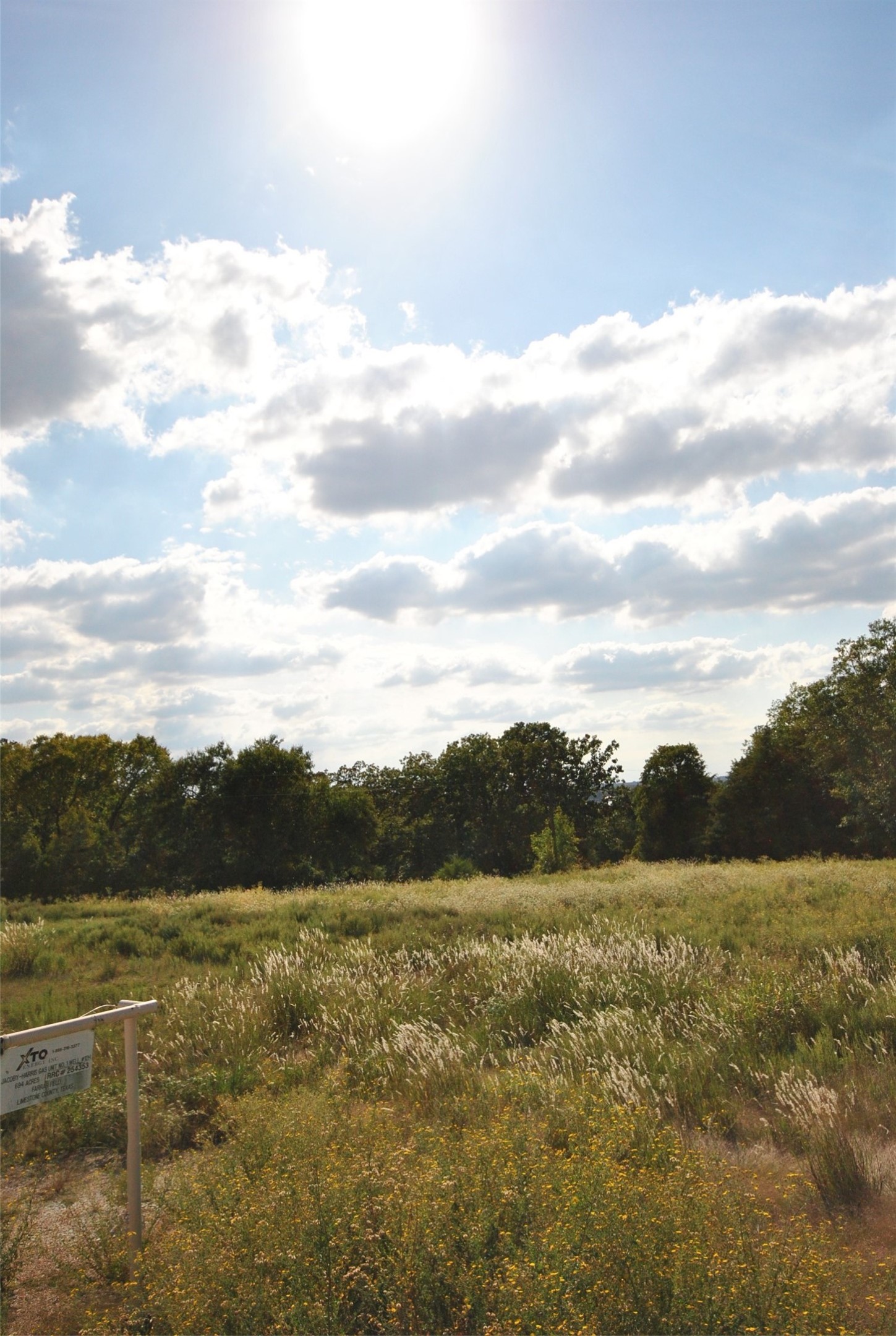 Lot 22 Lcr 910 Drive Jewett TX 75846