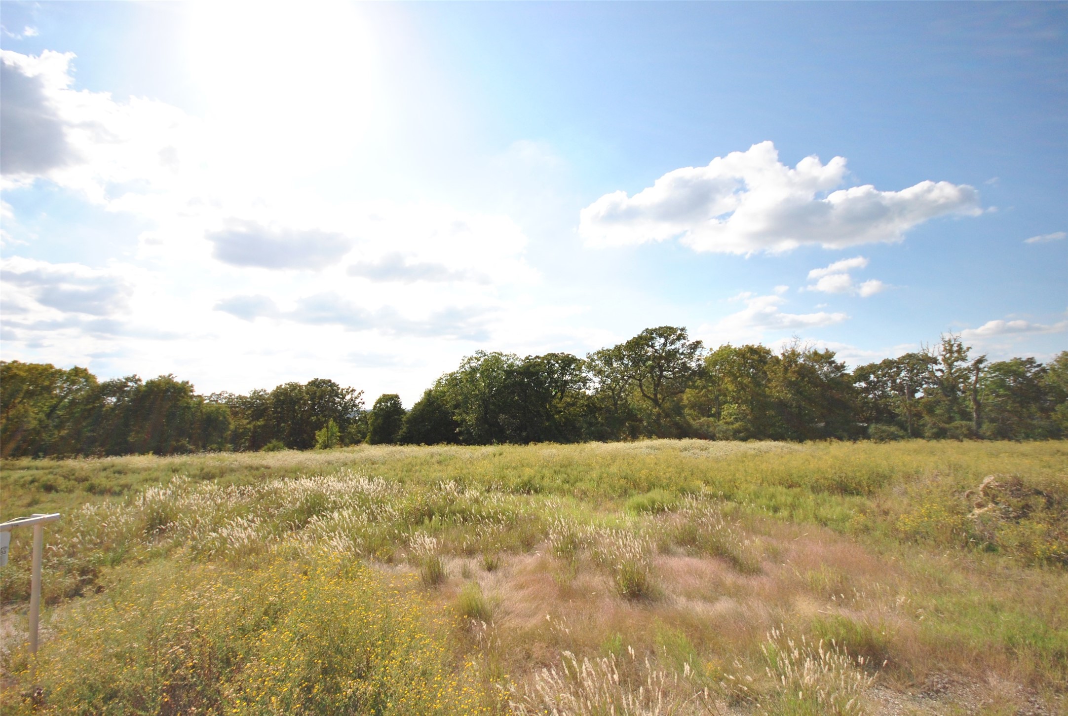 Lot 22 Lcr 910 Drive Jewett TX 75846