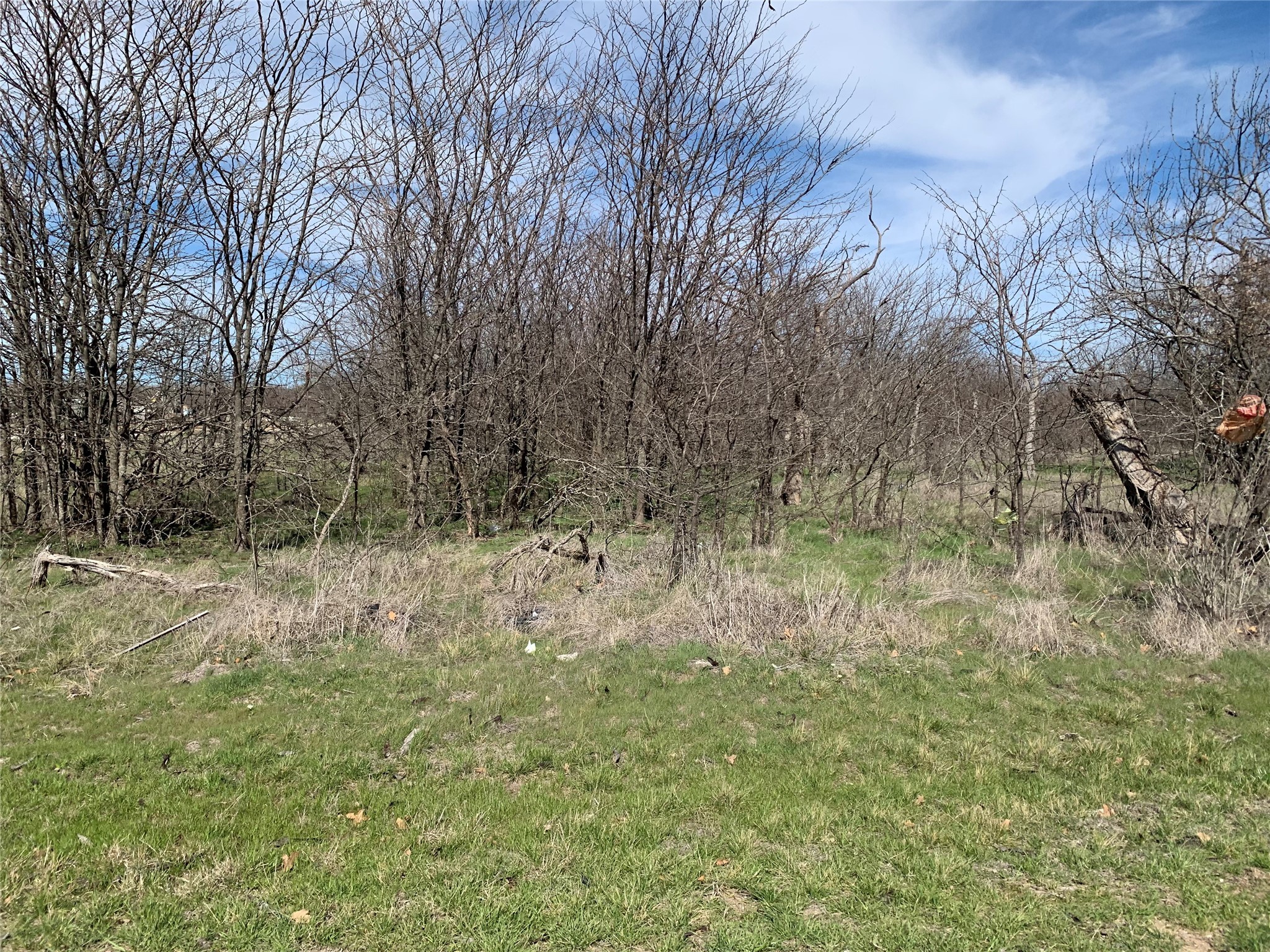 Lot 1 Block 6 Lark Meadow Drive Bridgeport TX 76426