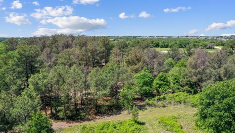 7008 Pinecone Court Poolville TX 76487