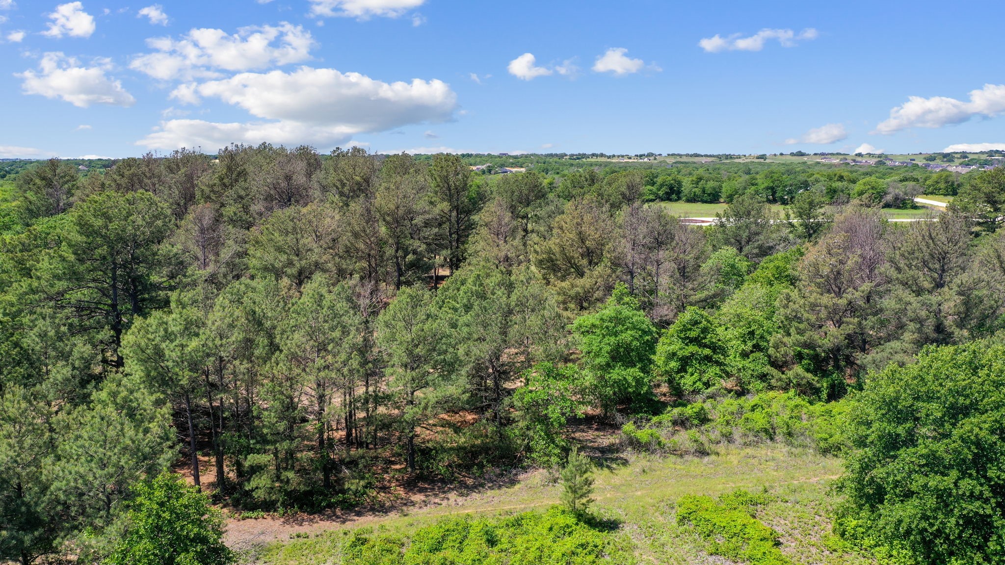 7008 Pinecone Court Poolville TX 76487