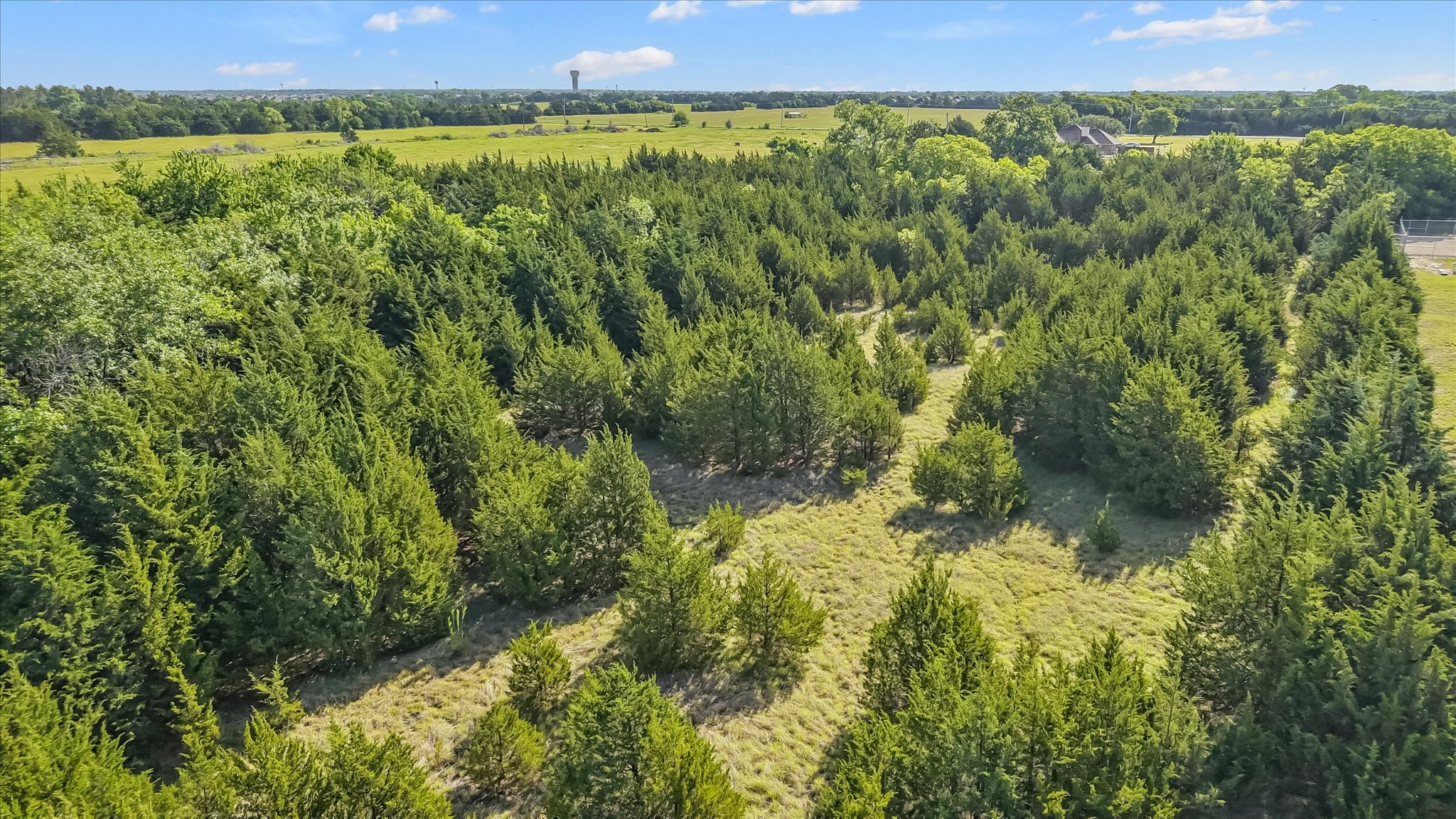 5.5 County Road 551 Farmersville TX 75442