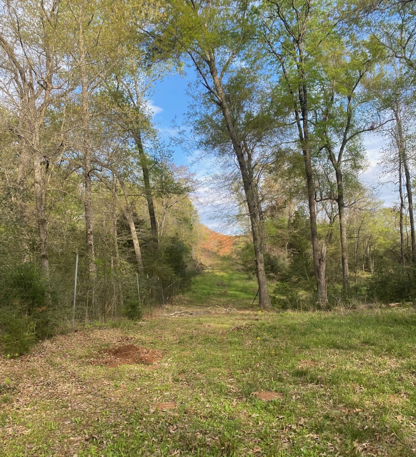Tbd 3 Fm 1848 Buffalo TX 75831
