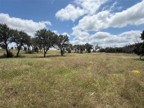 10131 Horizon View Tolar TX 76476