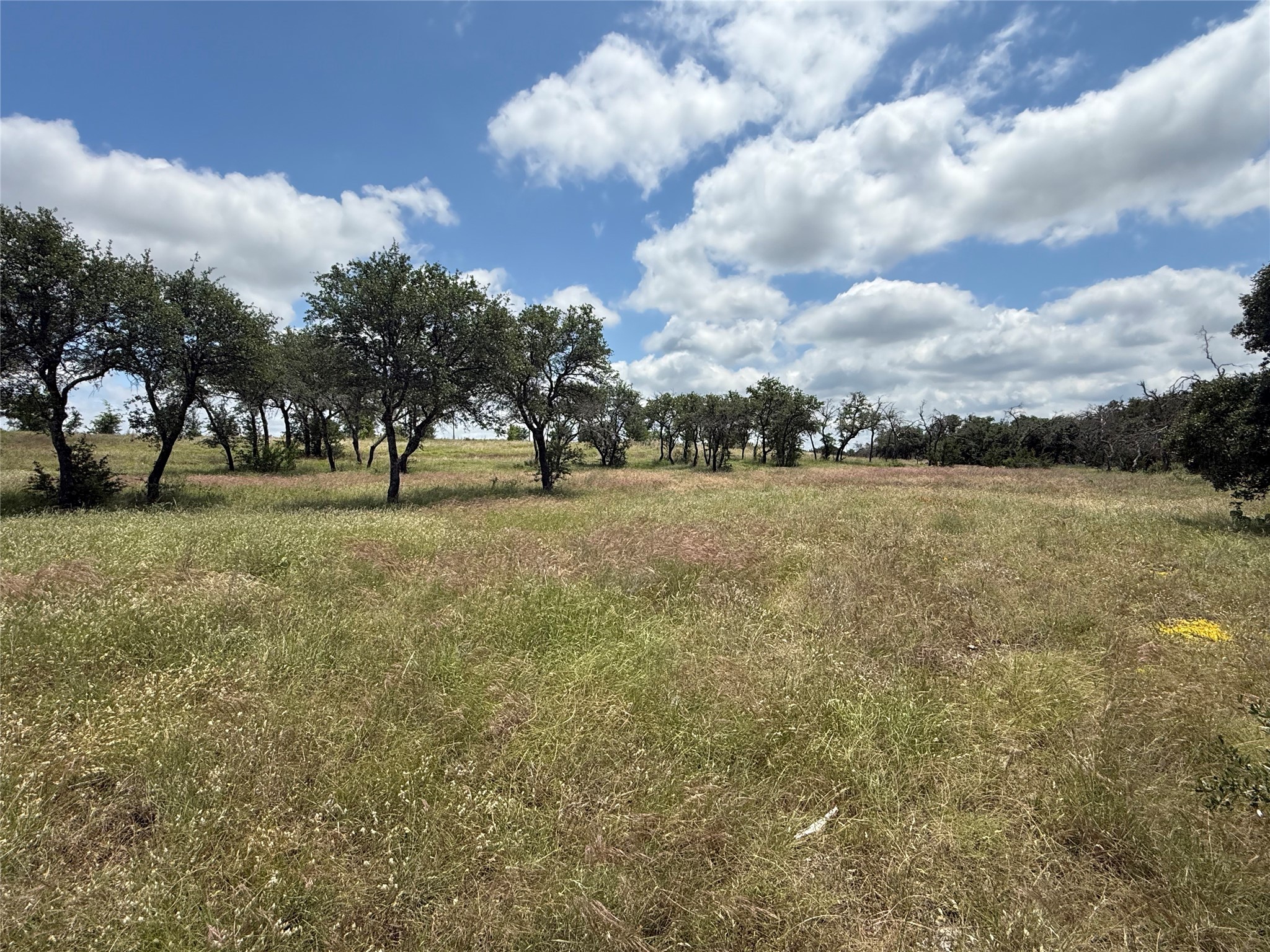 10131 Horizon View Tolar TX 76476