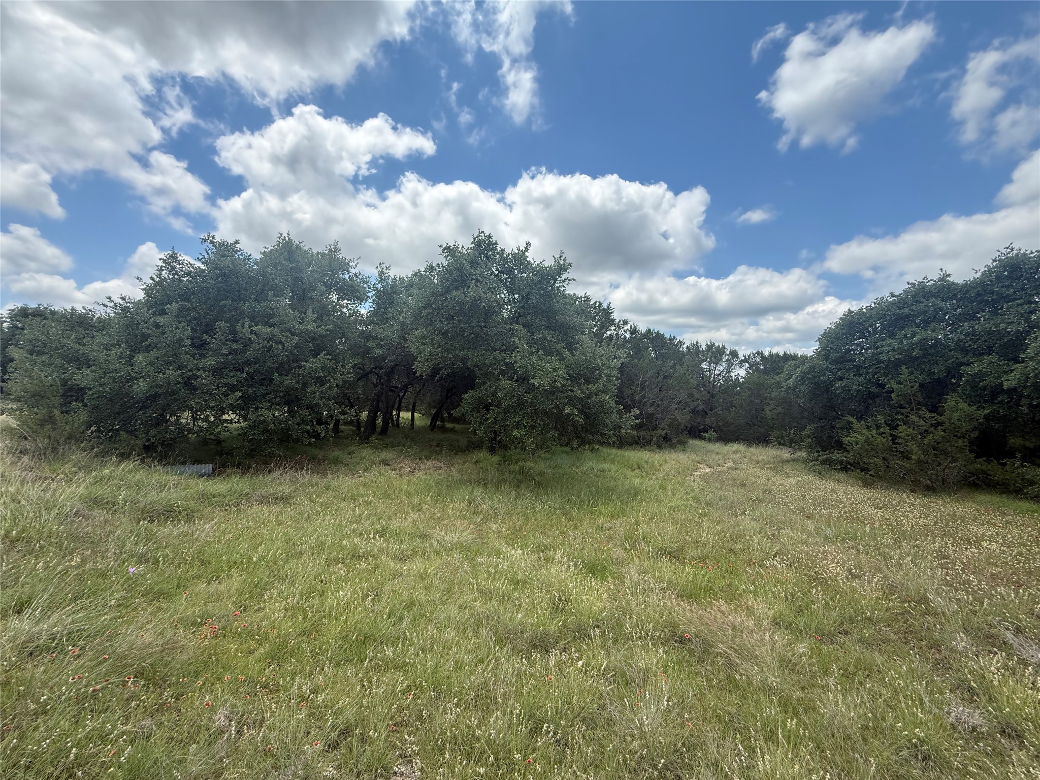 10131 Horizon View Tolar TX 76476