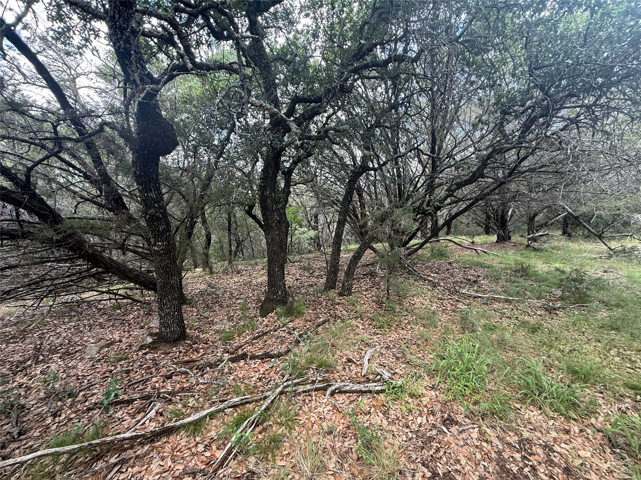 10131 Horizon View Tolar TX 76476