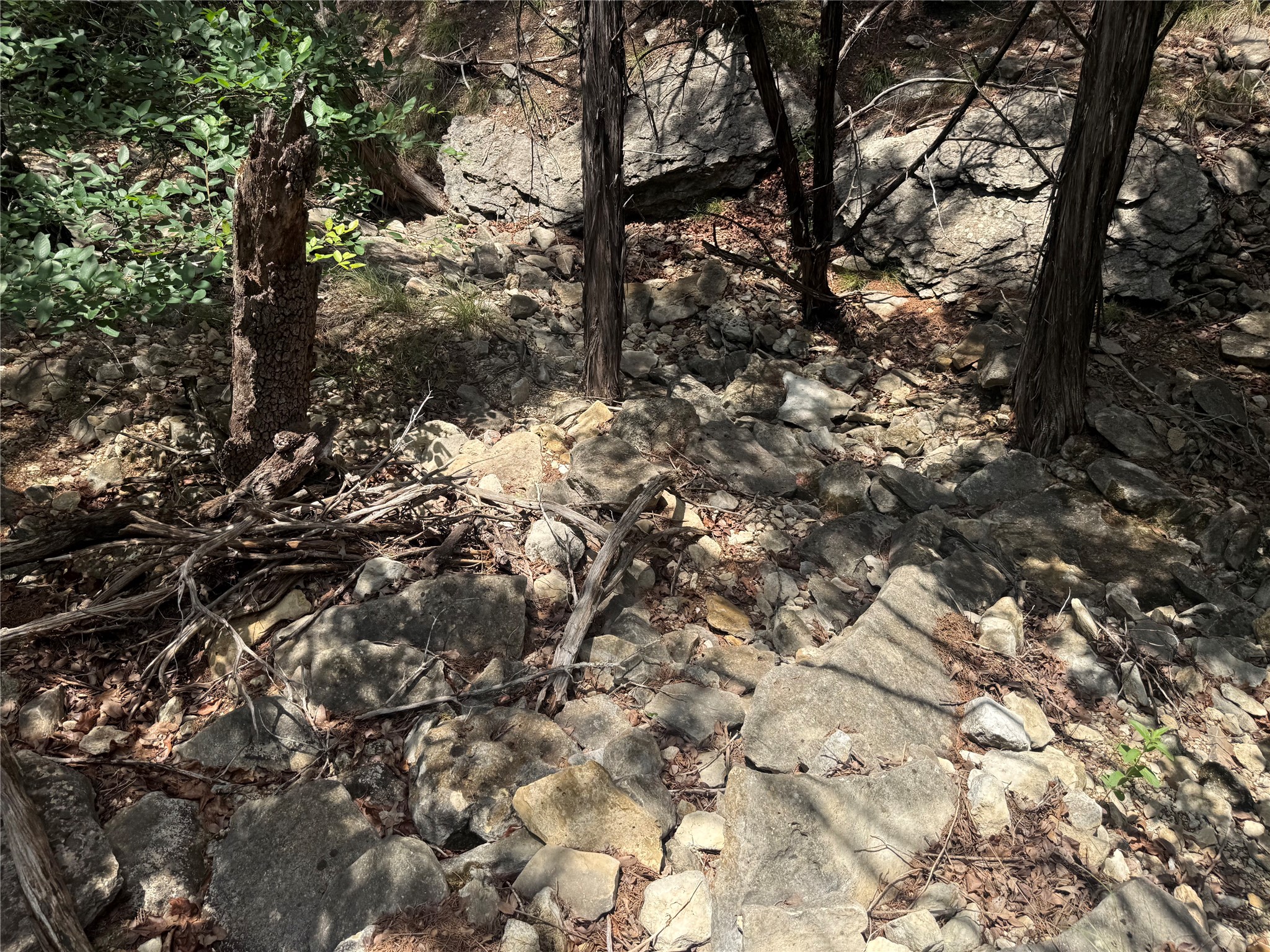 10131 Horizon View Tolar TX 76476