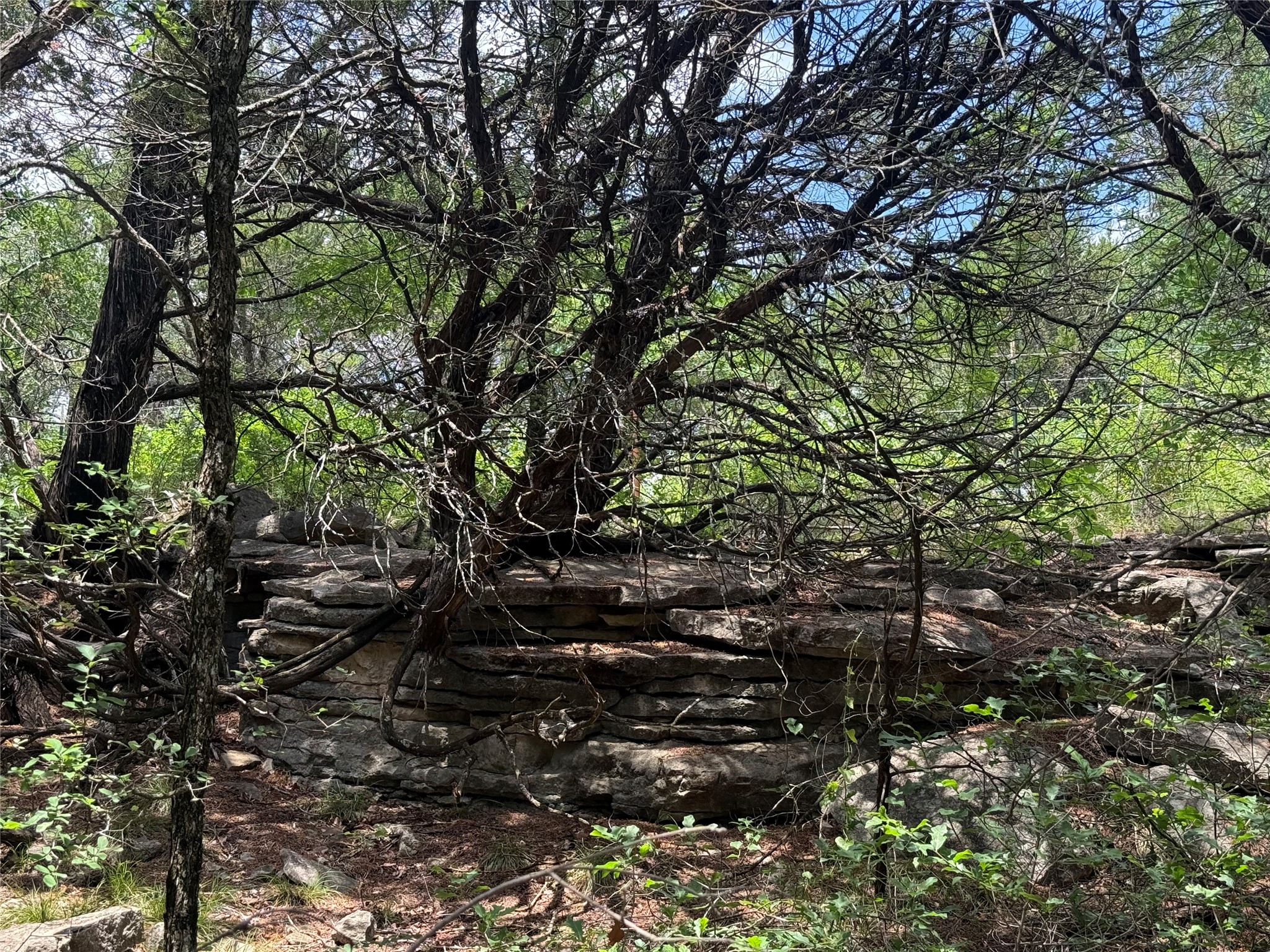 10131 Horizon View Tolar TX 76476
