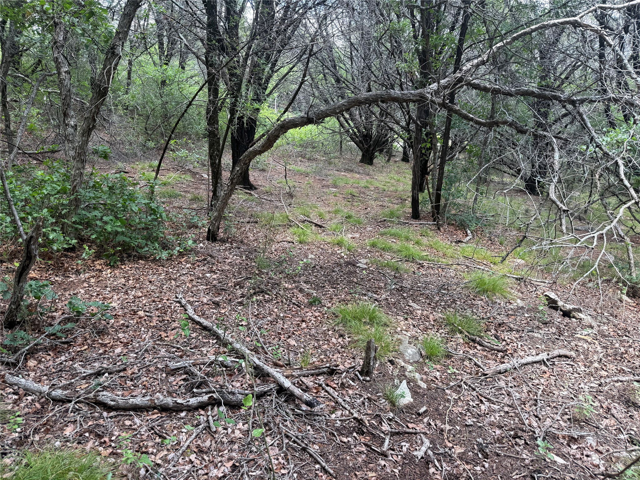 10131 Horizon View Tolar TX 76476