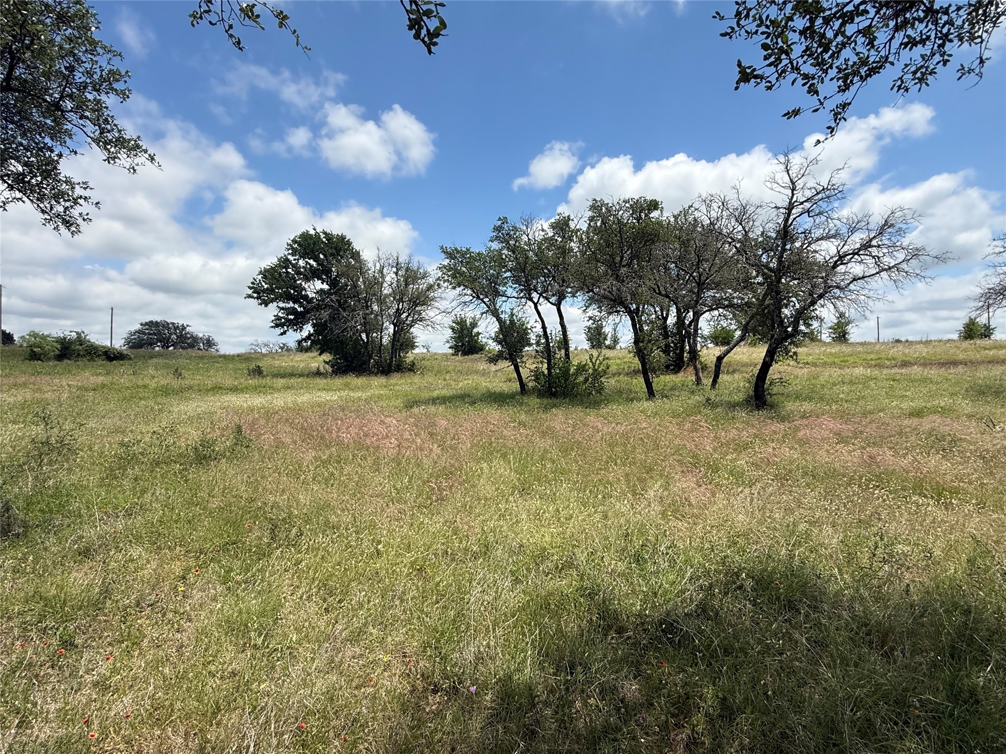 10131 Horizon View Tolar TX 76476