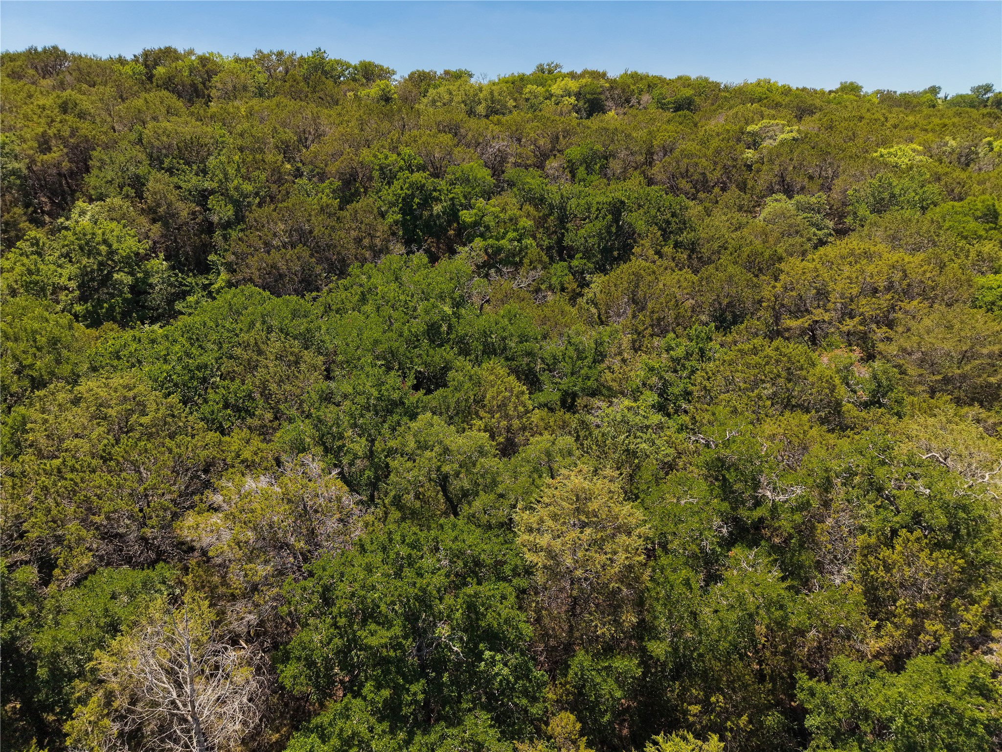 10131 Horizon View Tolar TX 76476