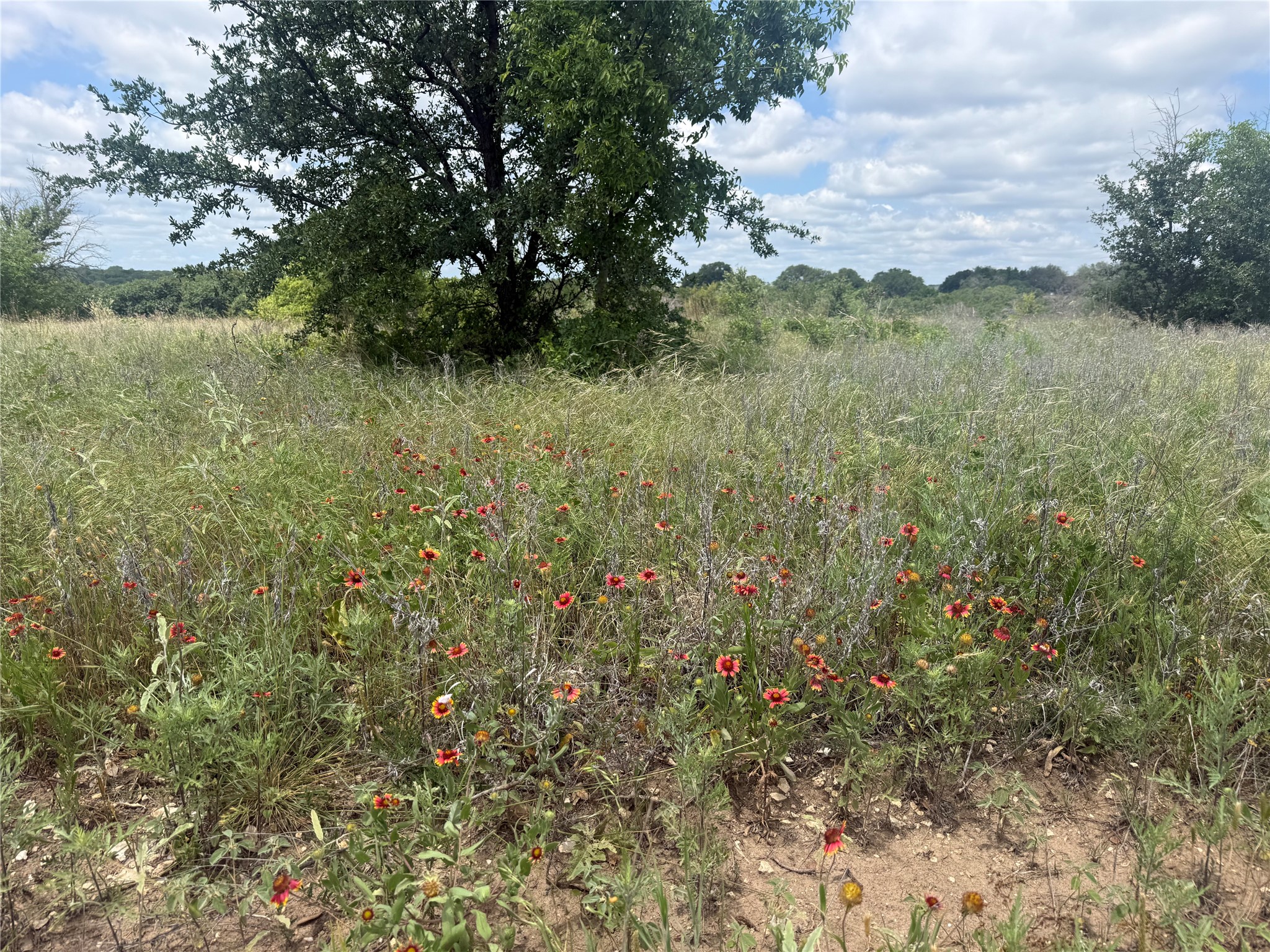 10131 Horizon View Tolar TX 76476