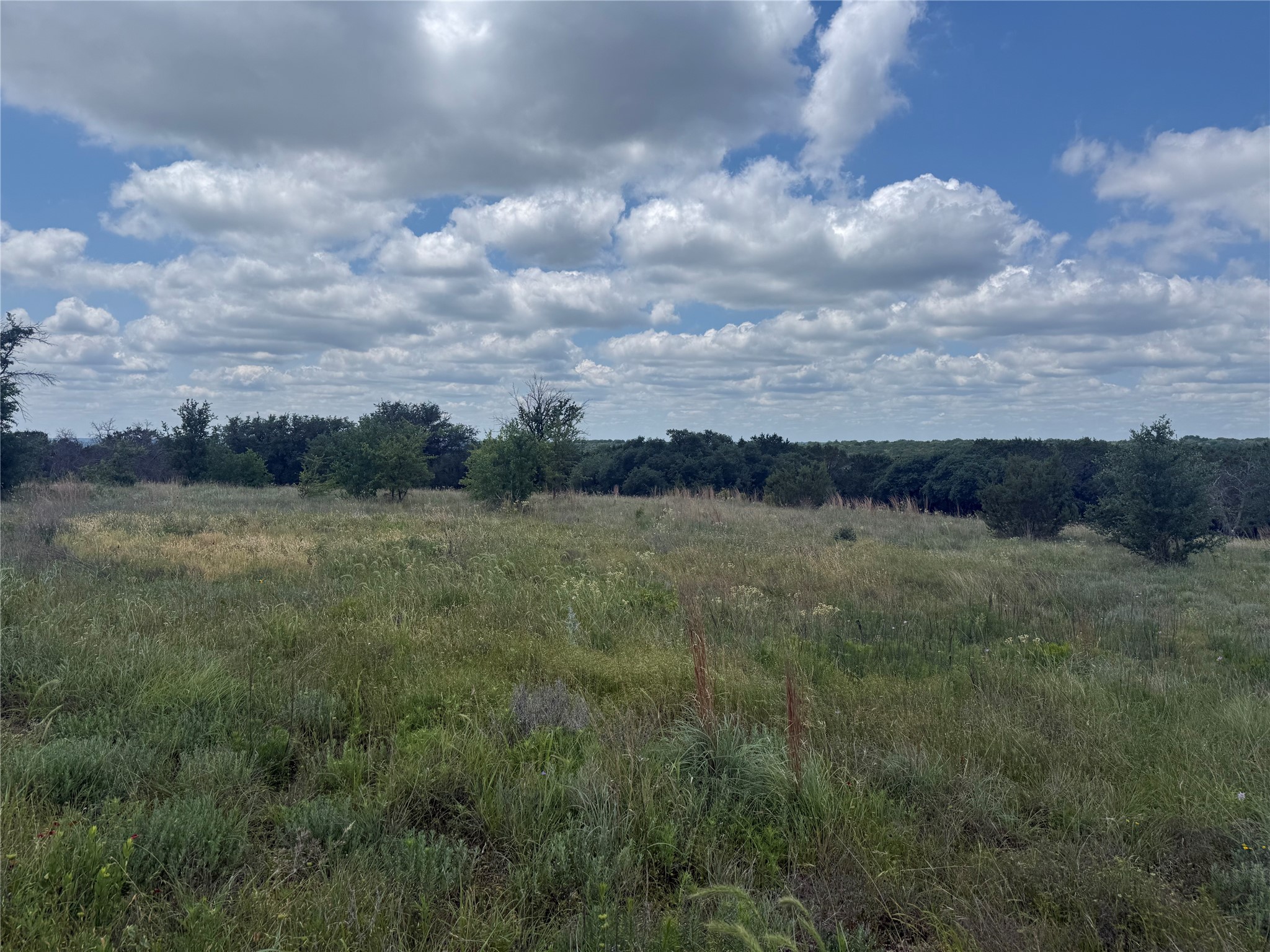 10131 Horizon View Tolar TX 76476