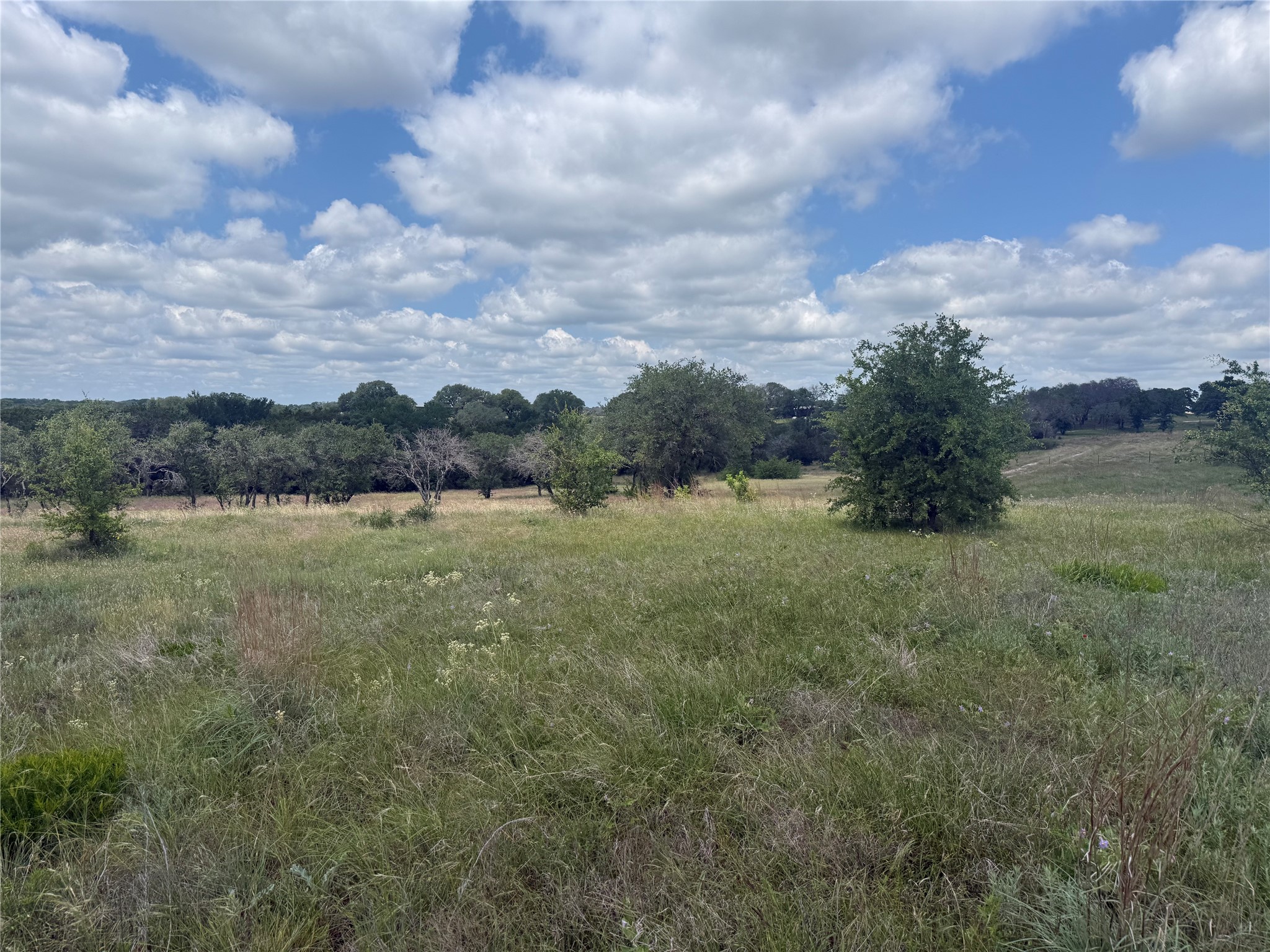 10131 Horizon View Tolar TX 76476
