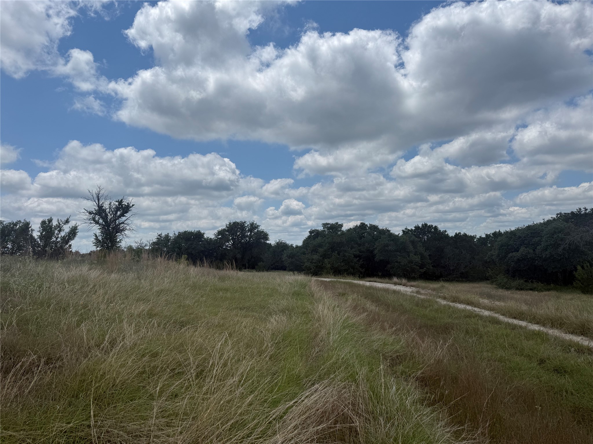 10131 Horizon View Tolar TX 76476