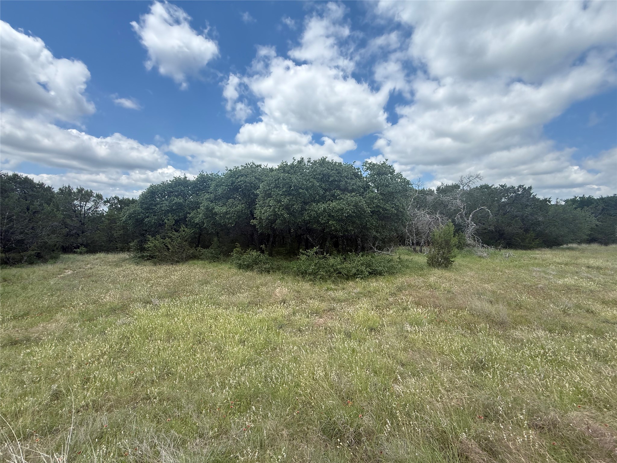 10131 Horizon View Tolar TX 76476