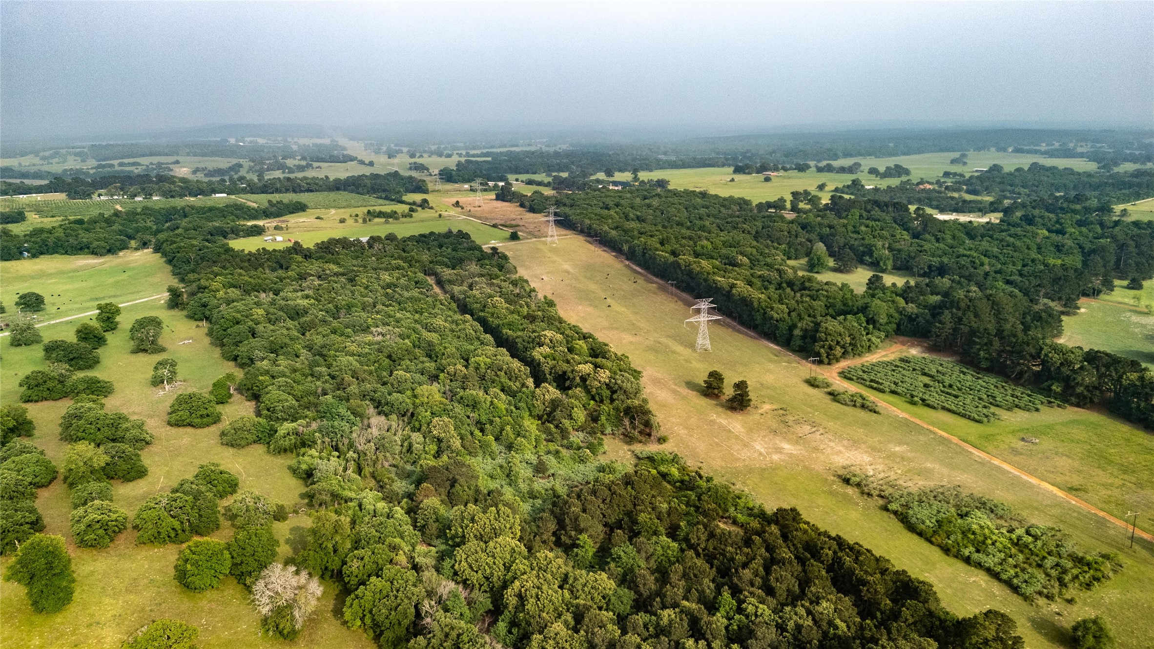 000 County Road 4520 Larue TX 75770