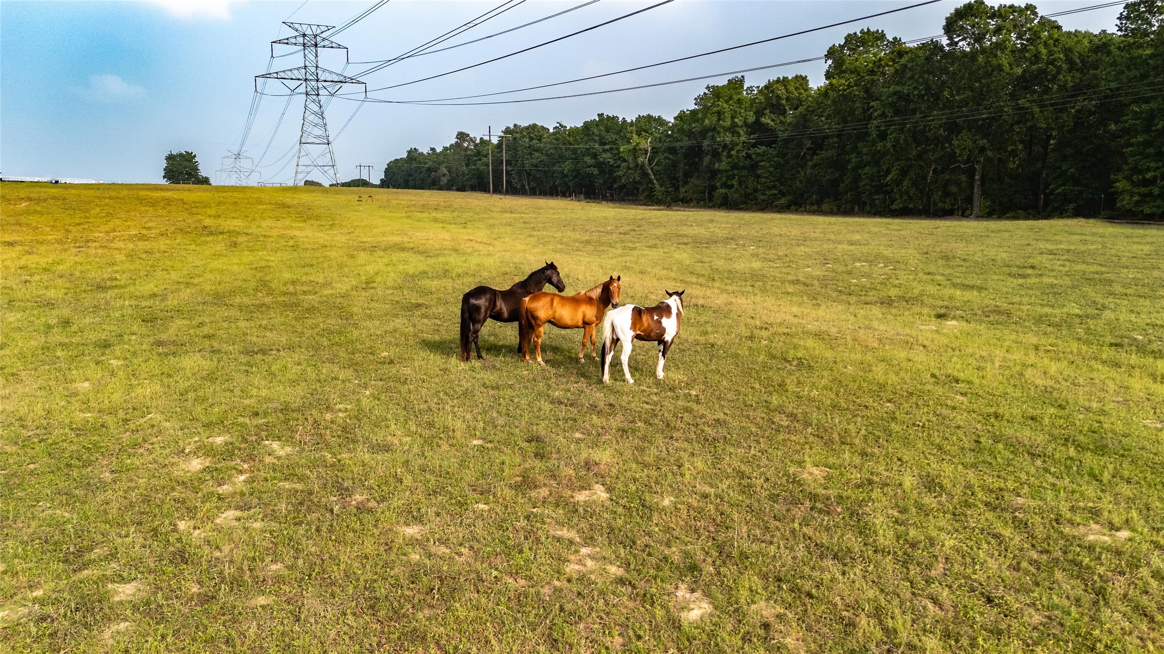 000 County Road 4520 Larue TX 75770