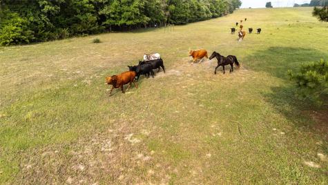 000 County Road 4520 Larue TX 75770