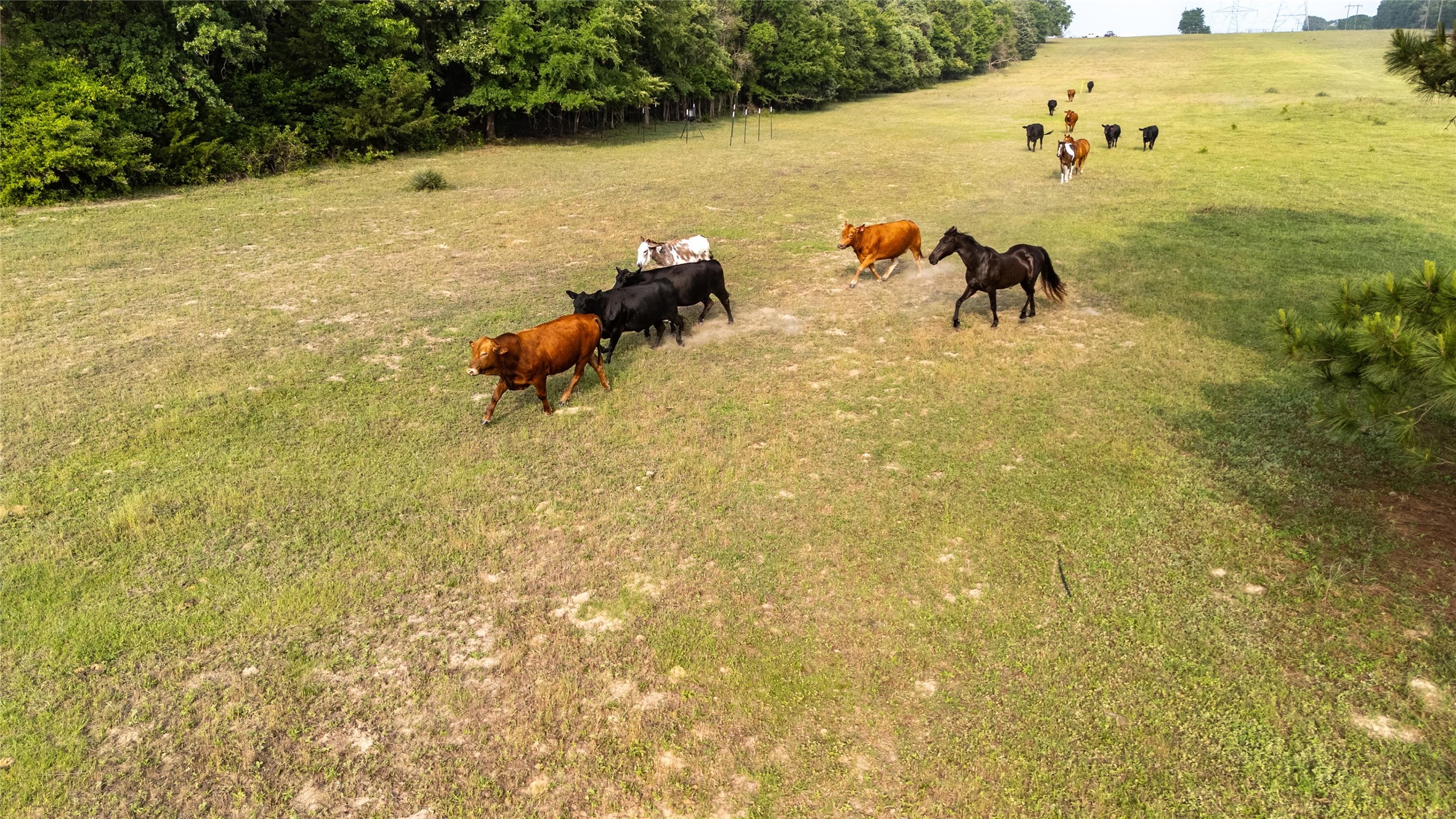 000 County Road 4520 Larue TX 75770