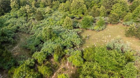 000 County Road 4520 Larue TX 75770
