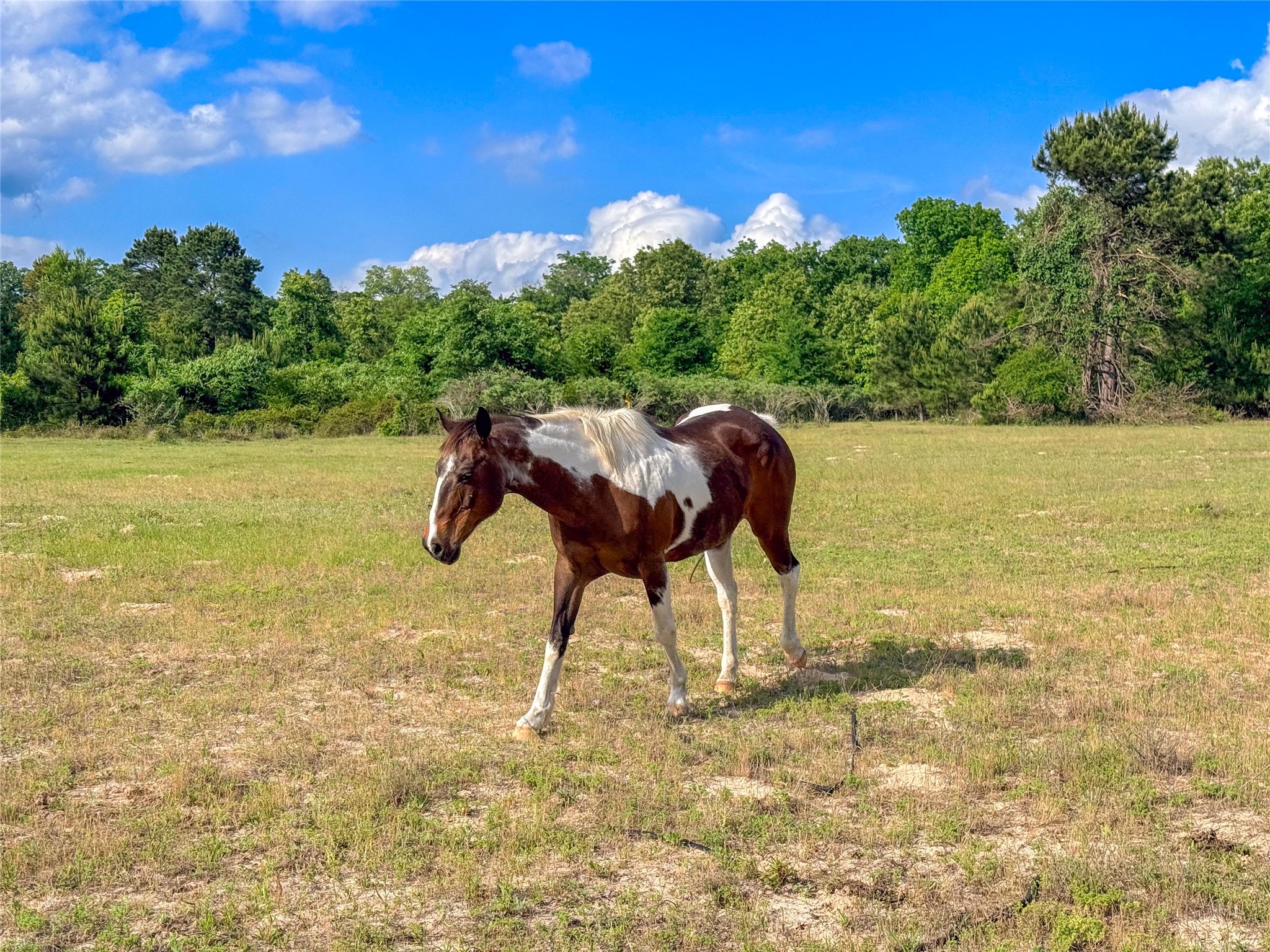 000 County Road 4520 Larue TX 75770