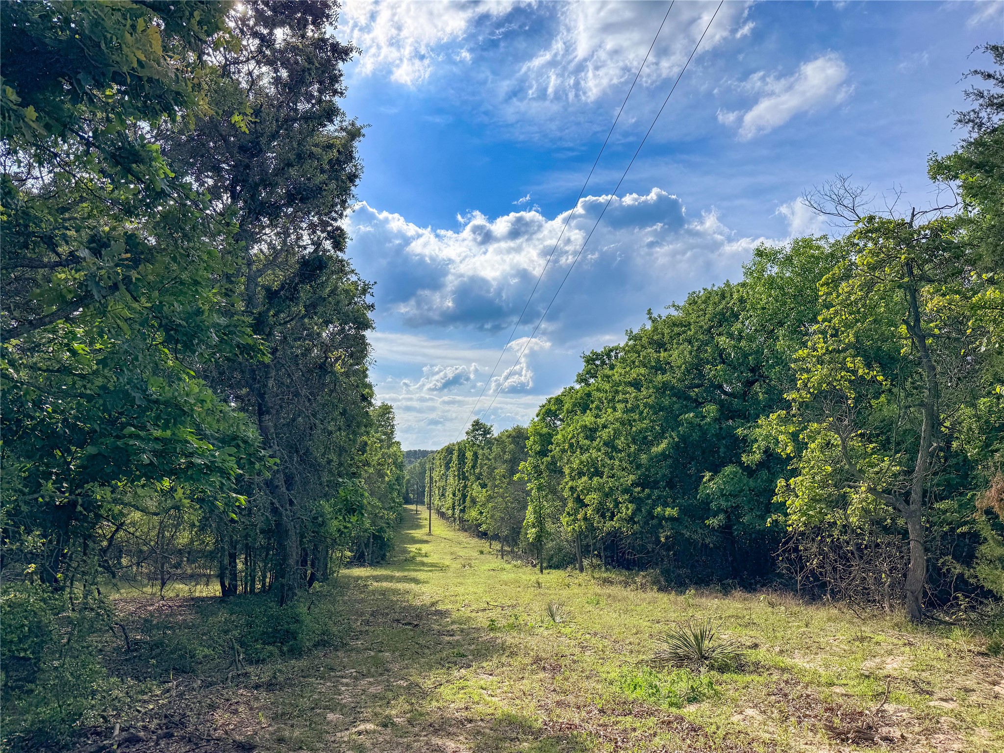 000 County Road 4520 Larue TX 75770