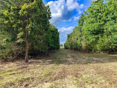 000 County Road 4520 Larue TX 75770