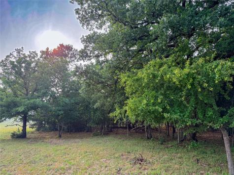 000 County Road 4520 Larue TX 75770