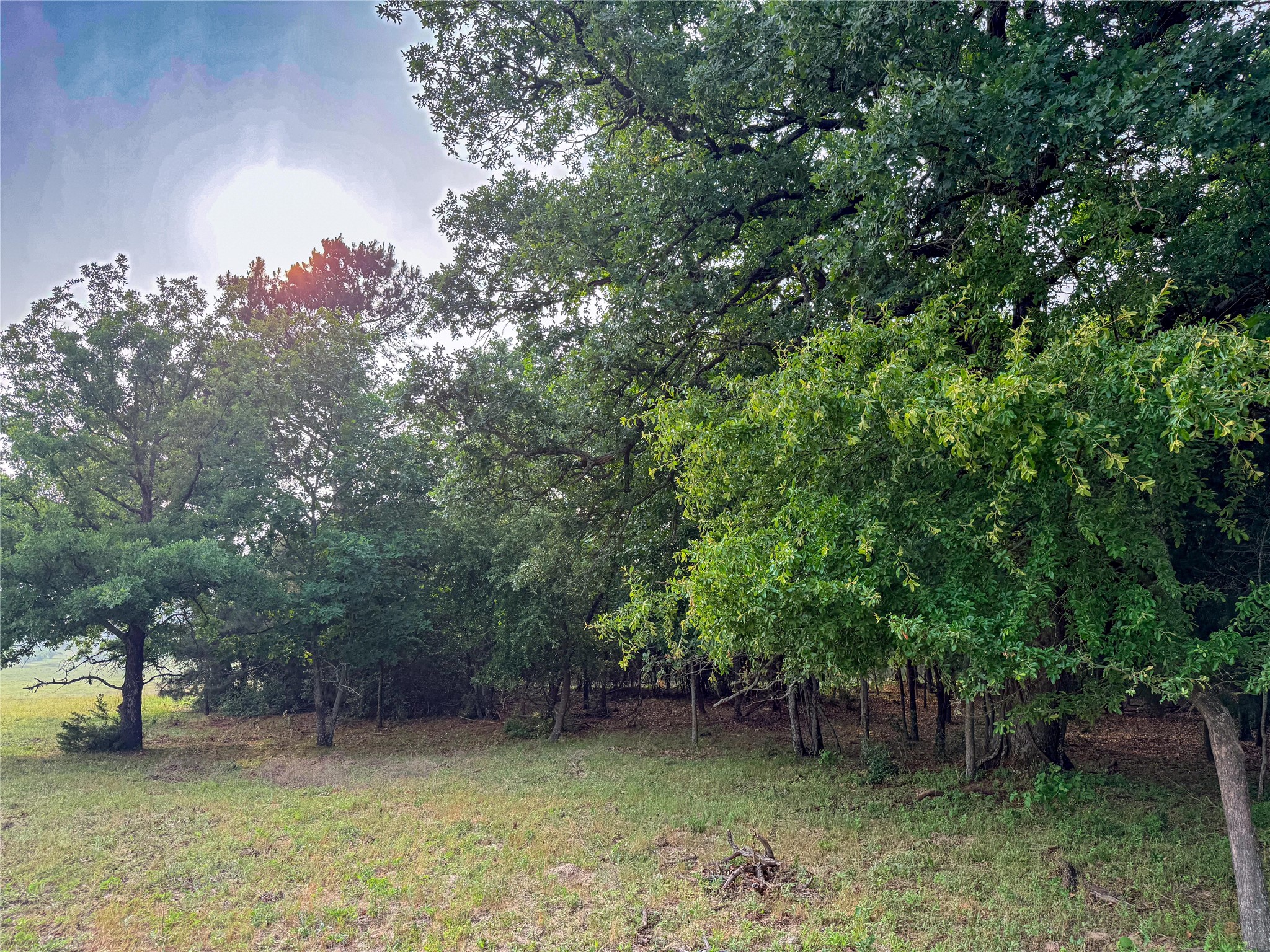 000 County Road 4520 Larue TX 75770