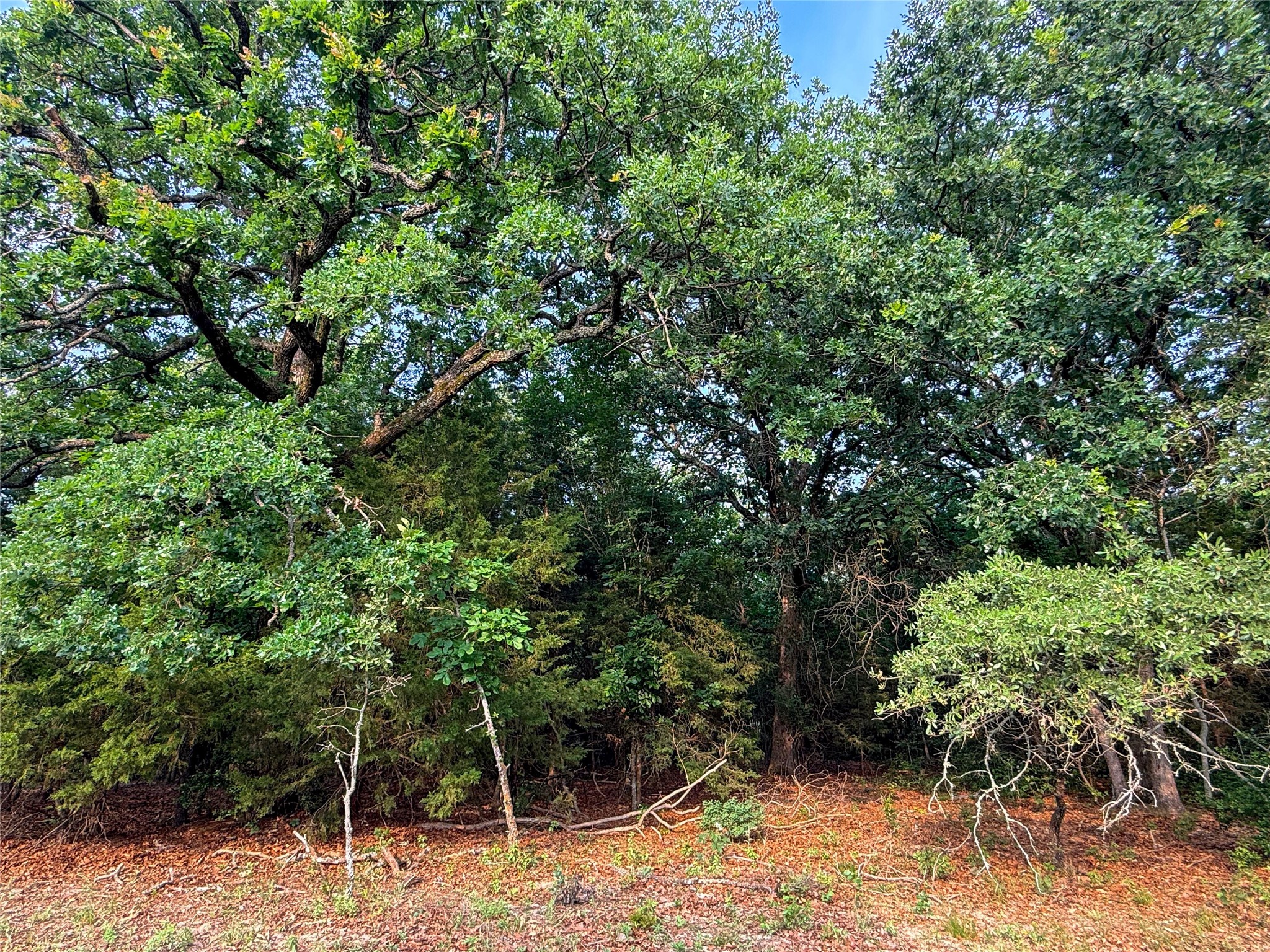 000 County Road 4520 Larue TX 75770