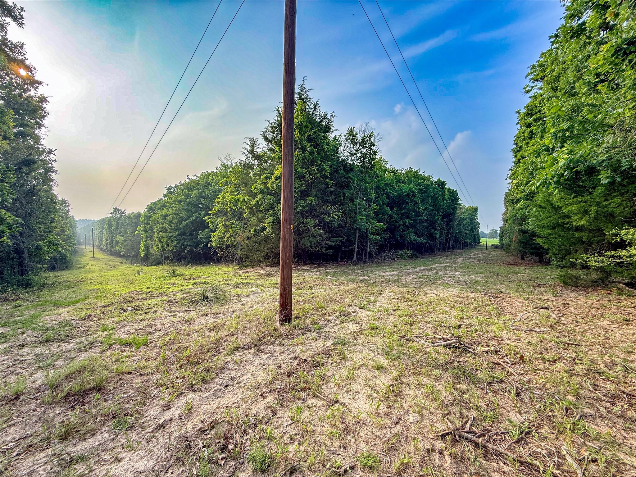 000 County Road 4520 Larue TX 75770