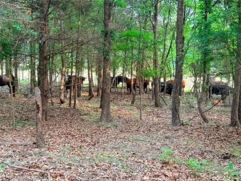 000 County Road 4520 Larue TX 75770