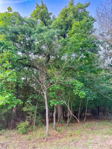 000 County Road 4520 Larue TX 75770