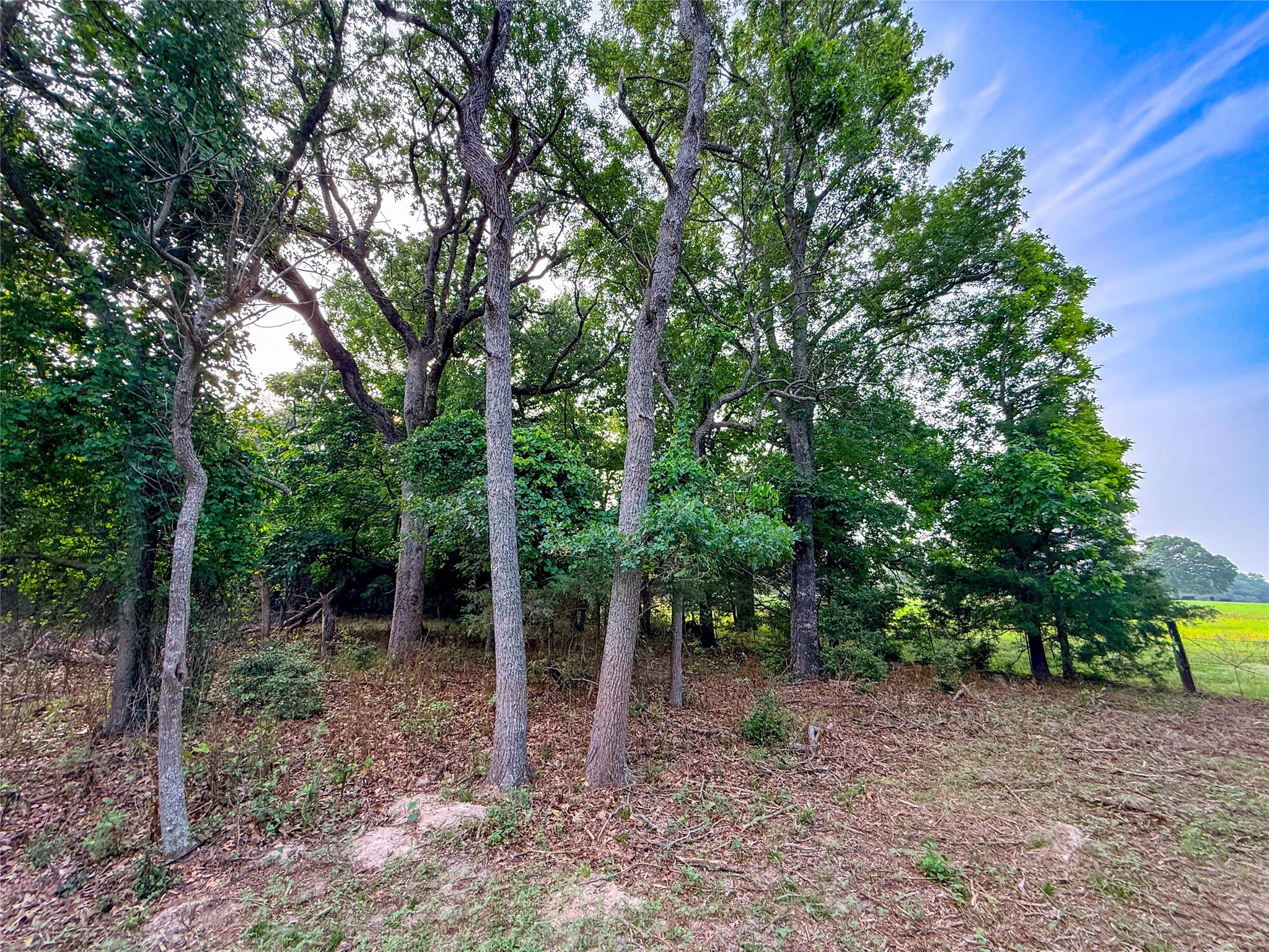 000 County Road 4520 Larue TX 75770