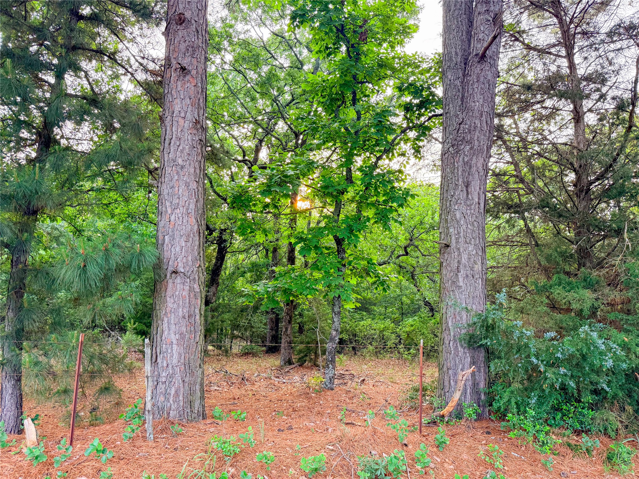 000 County Road 4520 Larue TX 75770