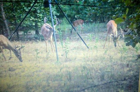 000 County Road 4520 Larue TX 75770
